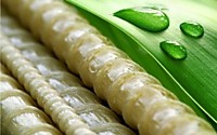 Композитная арматура НОВОКОМПОЗИТ